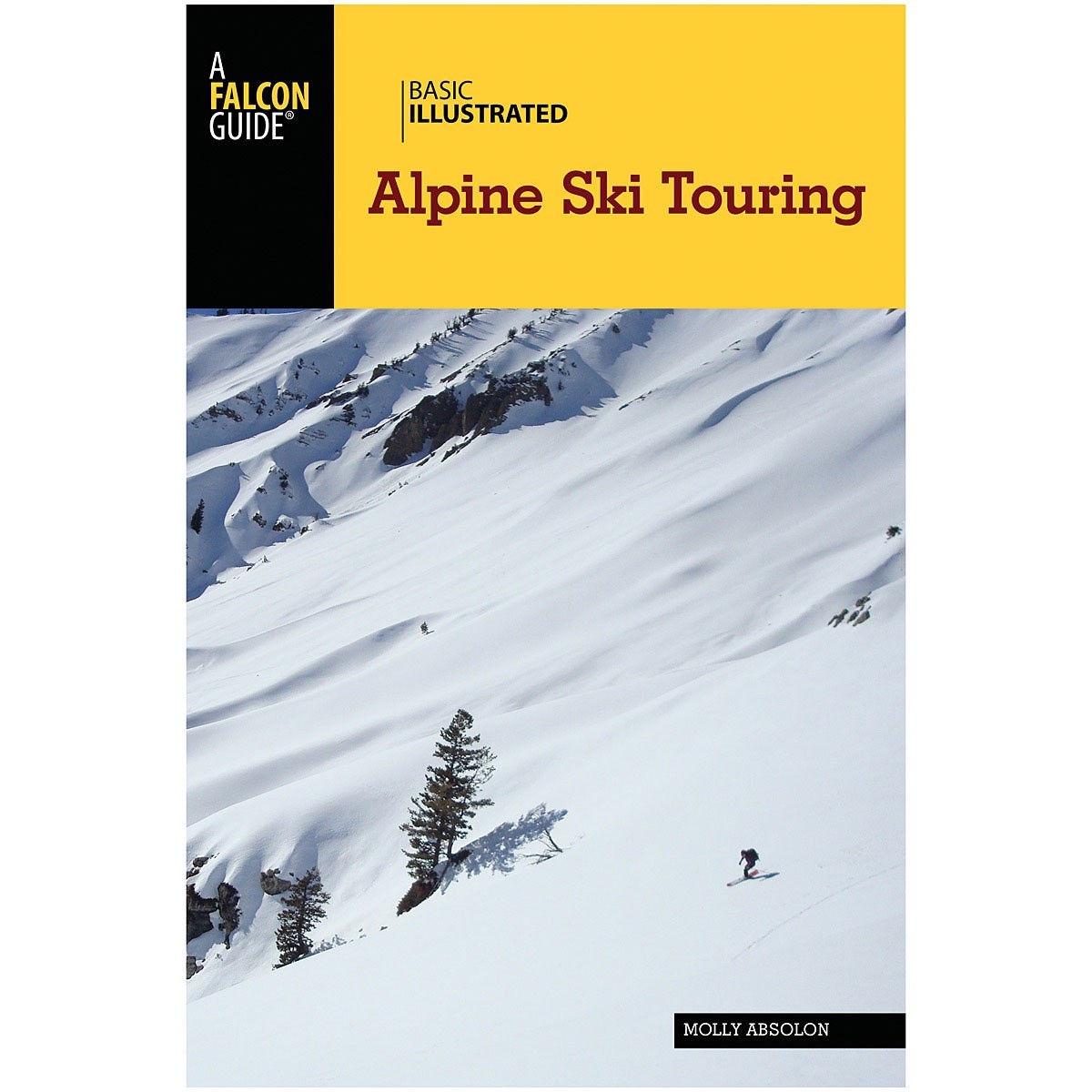 Libro Basic Illustrated Alpine Ski Touring