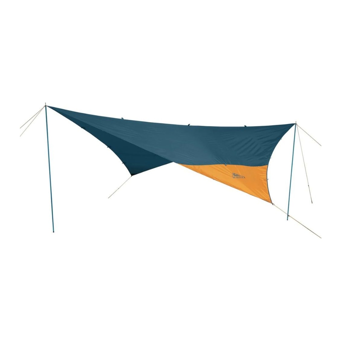 Toldo Noah's 9