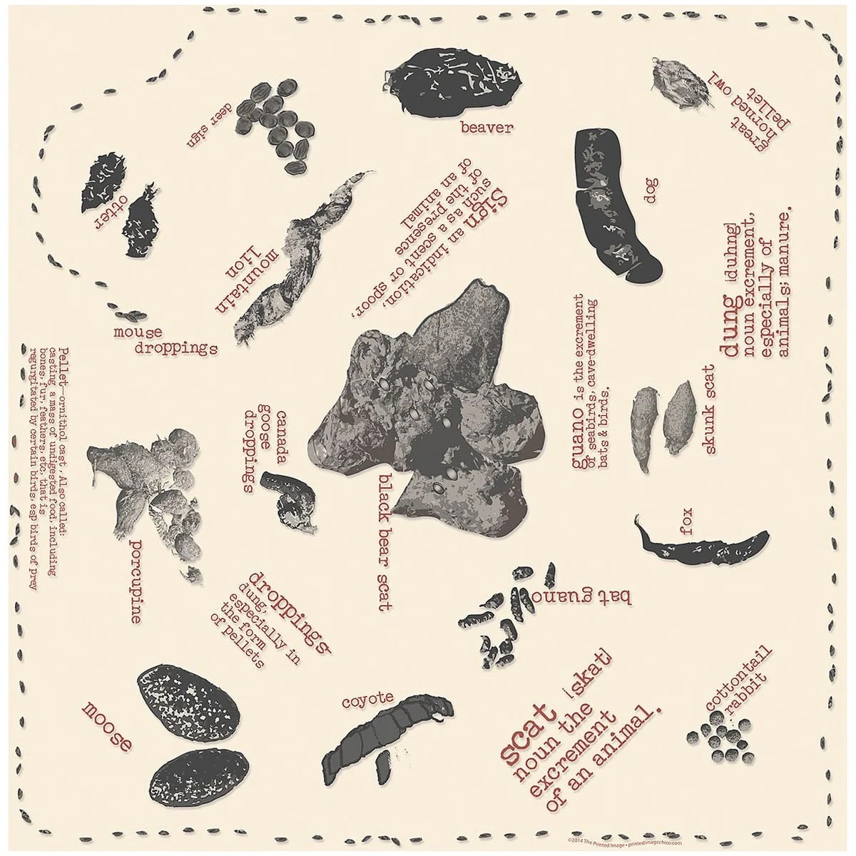 Fecas de Fauna