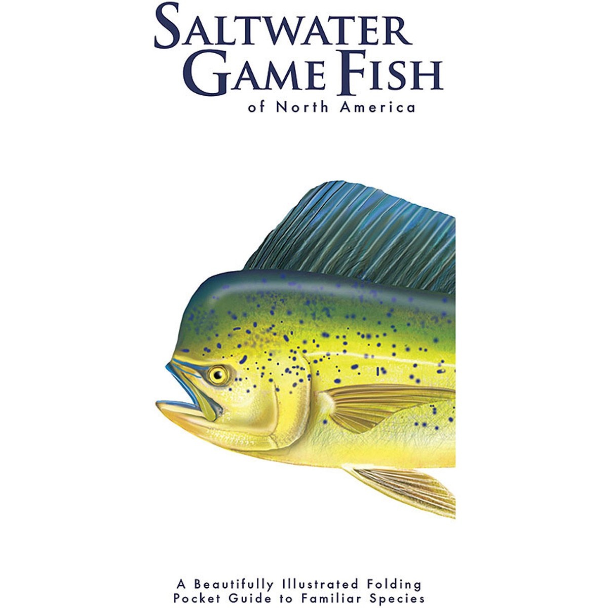 Guía Saltwater Game Fish of North America