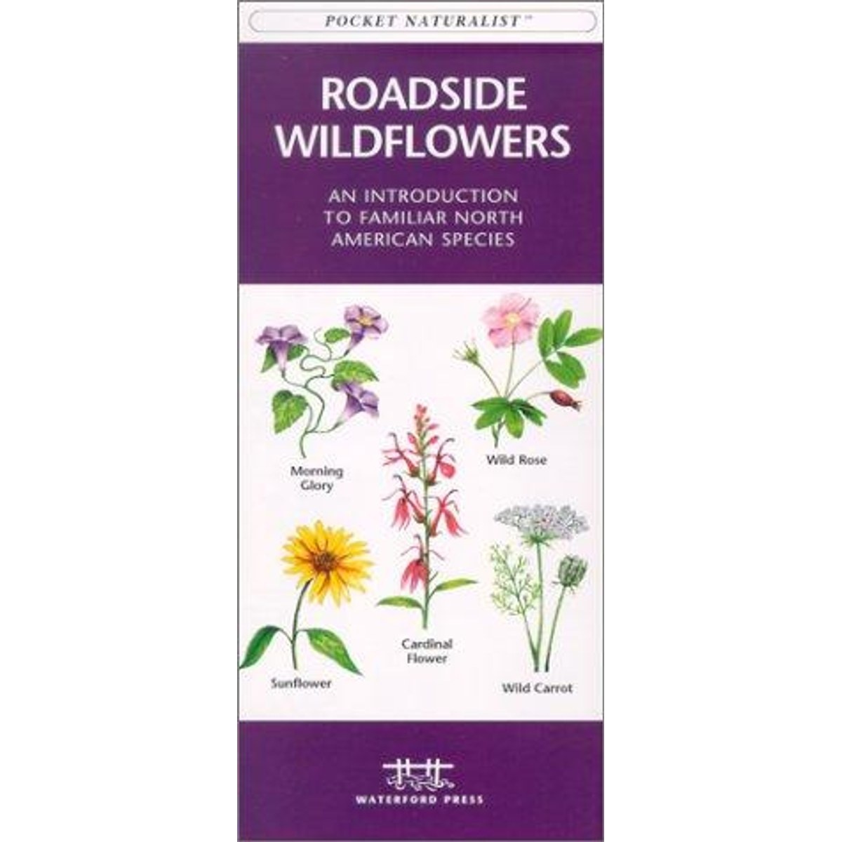 Guía Roadside Wildflowers