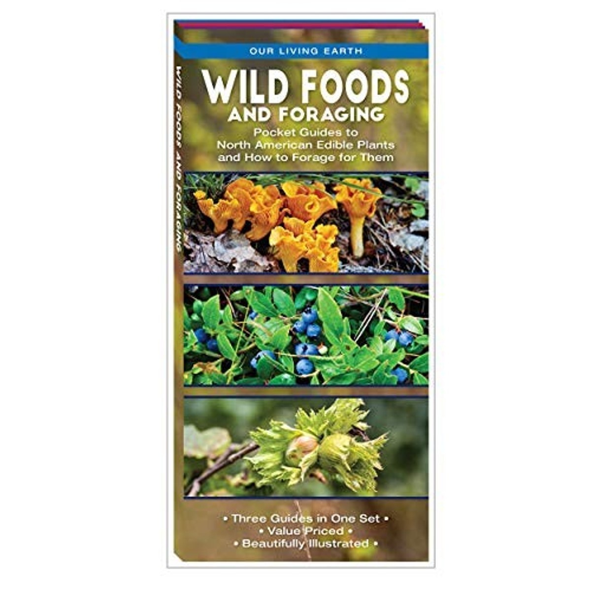 Guía Wild Foods and Foraging