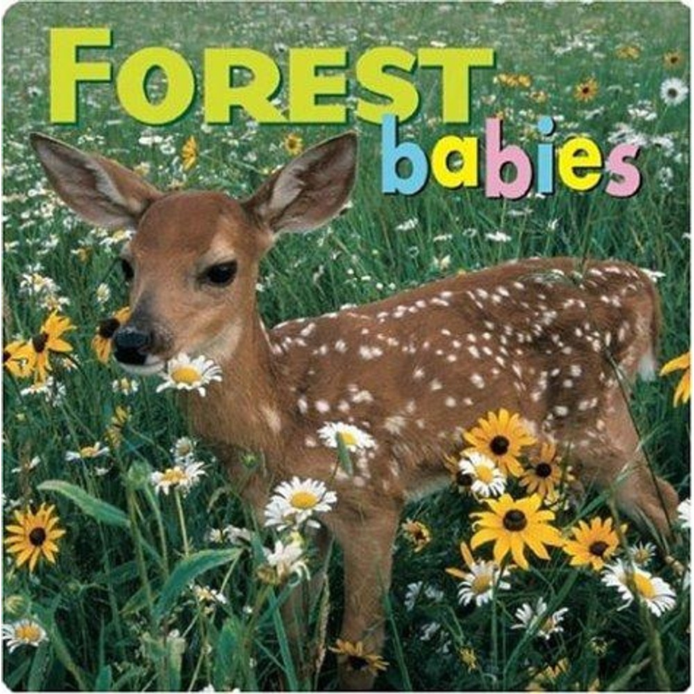 Libro Infantil Forest Babies
