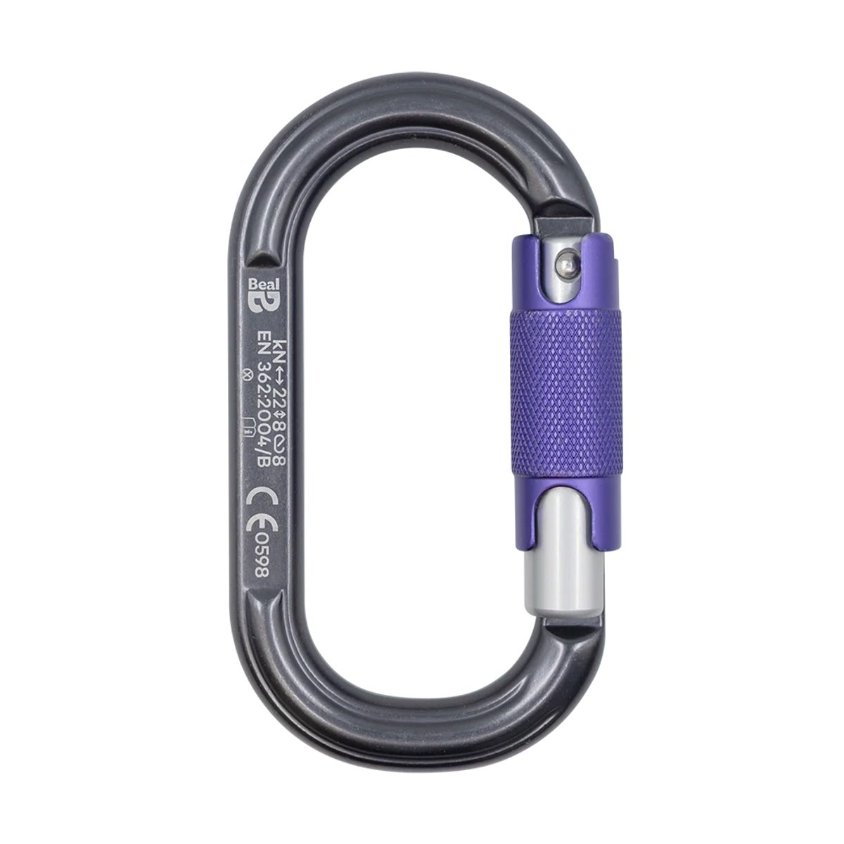Gris/Morado
