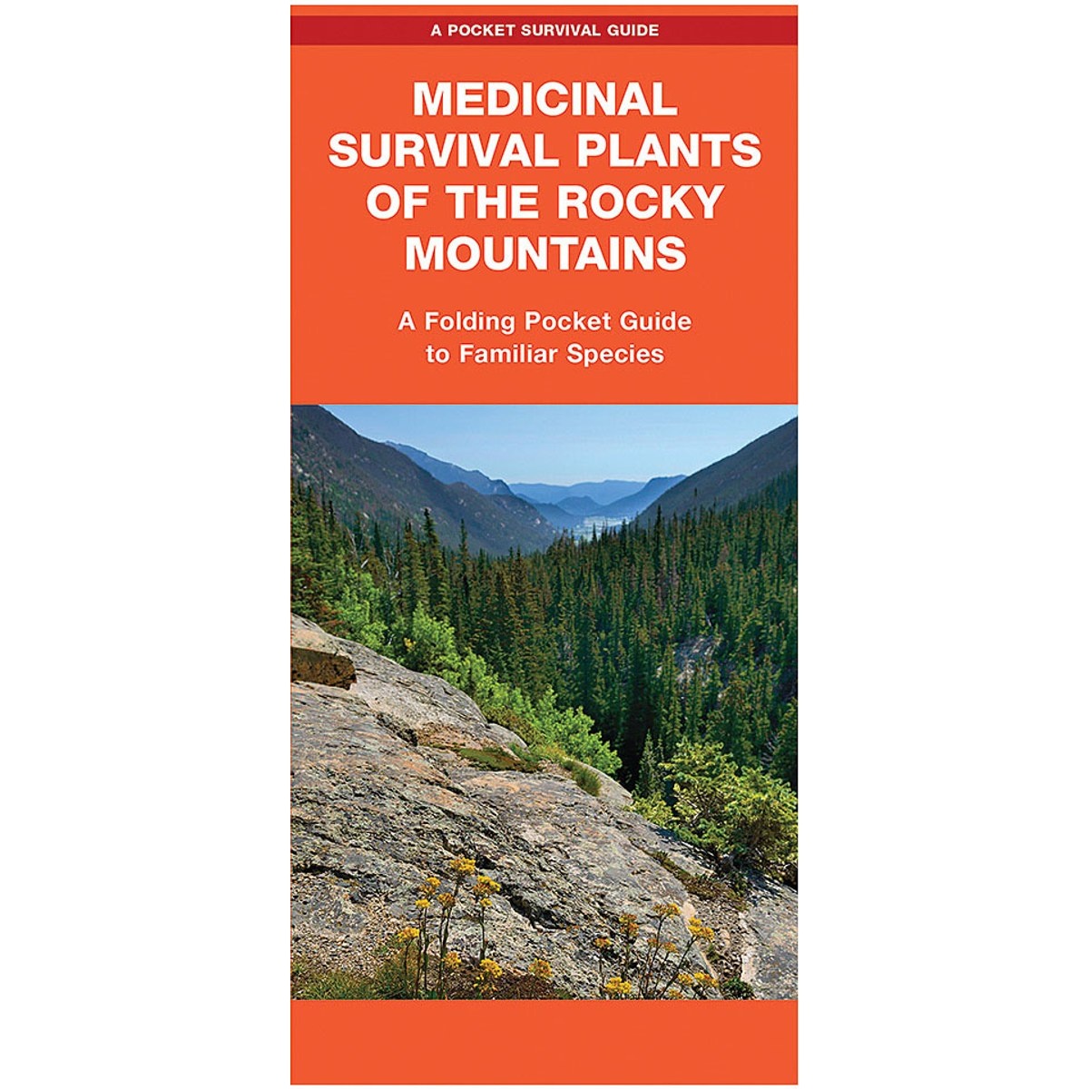 Guía Medicinal Survival Plants of the Rocky Mountains