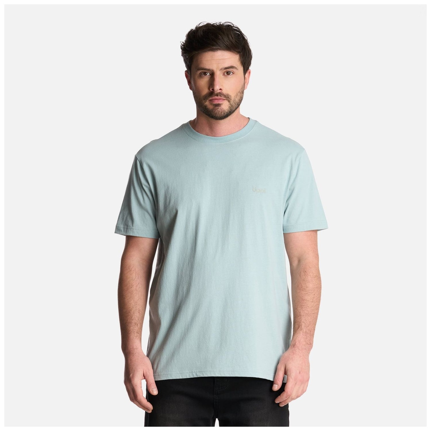 Polera Hombre Logo Lippi Back Print T-Shirt V25