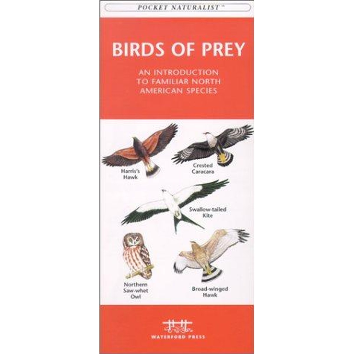 Guía Birds of Prey