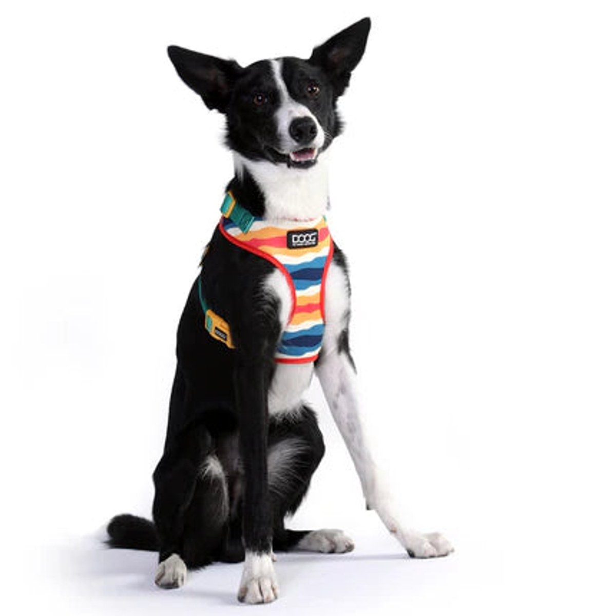 Scout