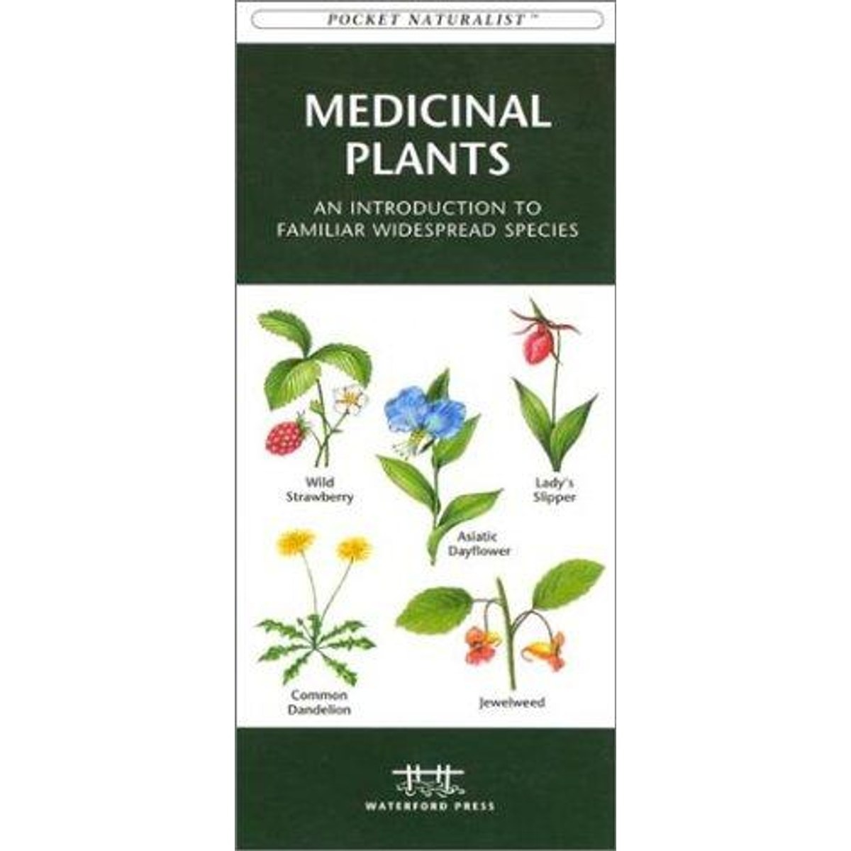 Guía Medicinal Plants
