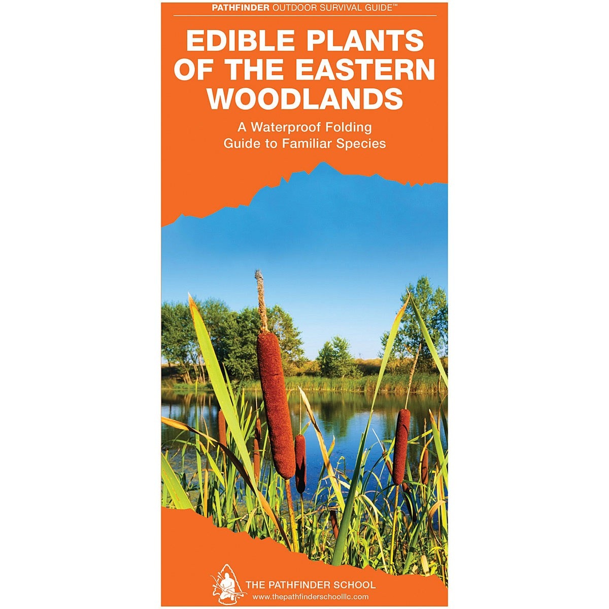 Guía Edible Plants of the Eastern Woodlands Pathfinders Outdoor Survival Guide