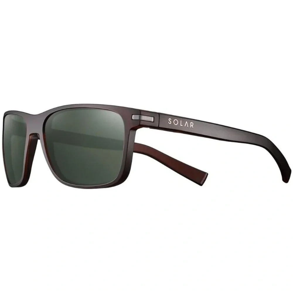Young Cat 3 Polarized