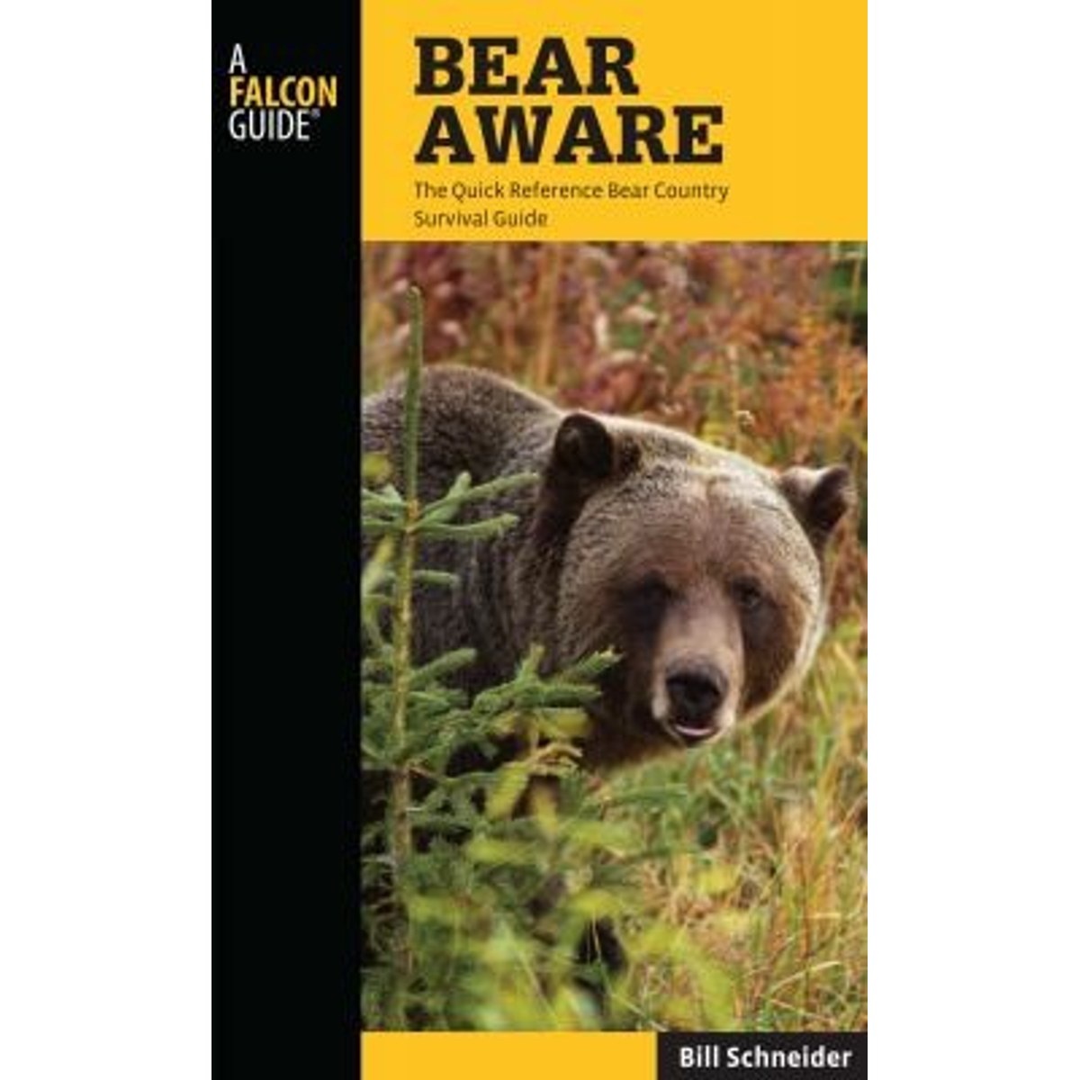 Libro Bear Aware 4th