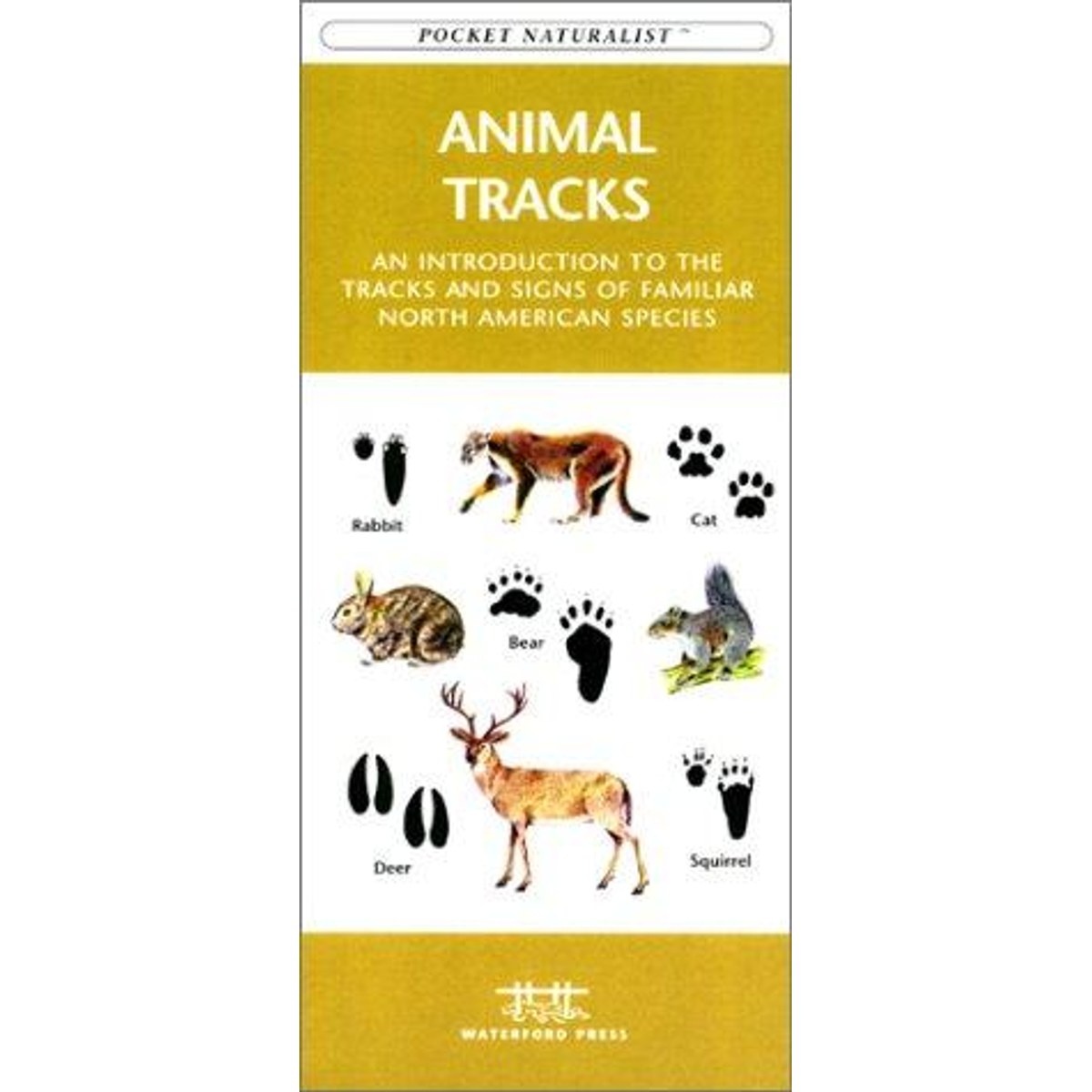 Guía Animal Tracks