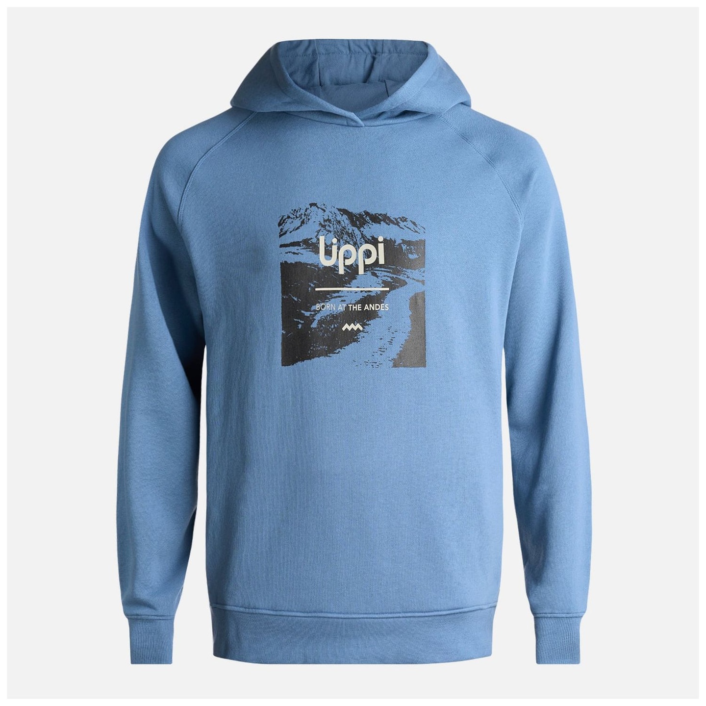 Polerón Hombre Insigne Hoody Sweatshirt Front Print V24