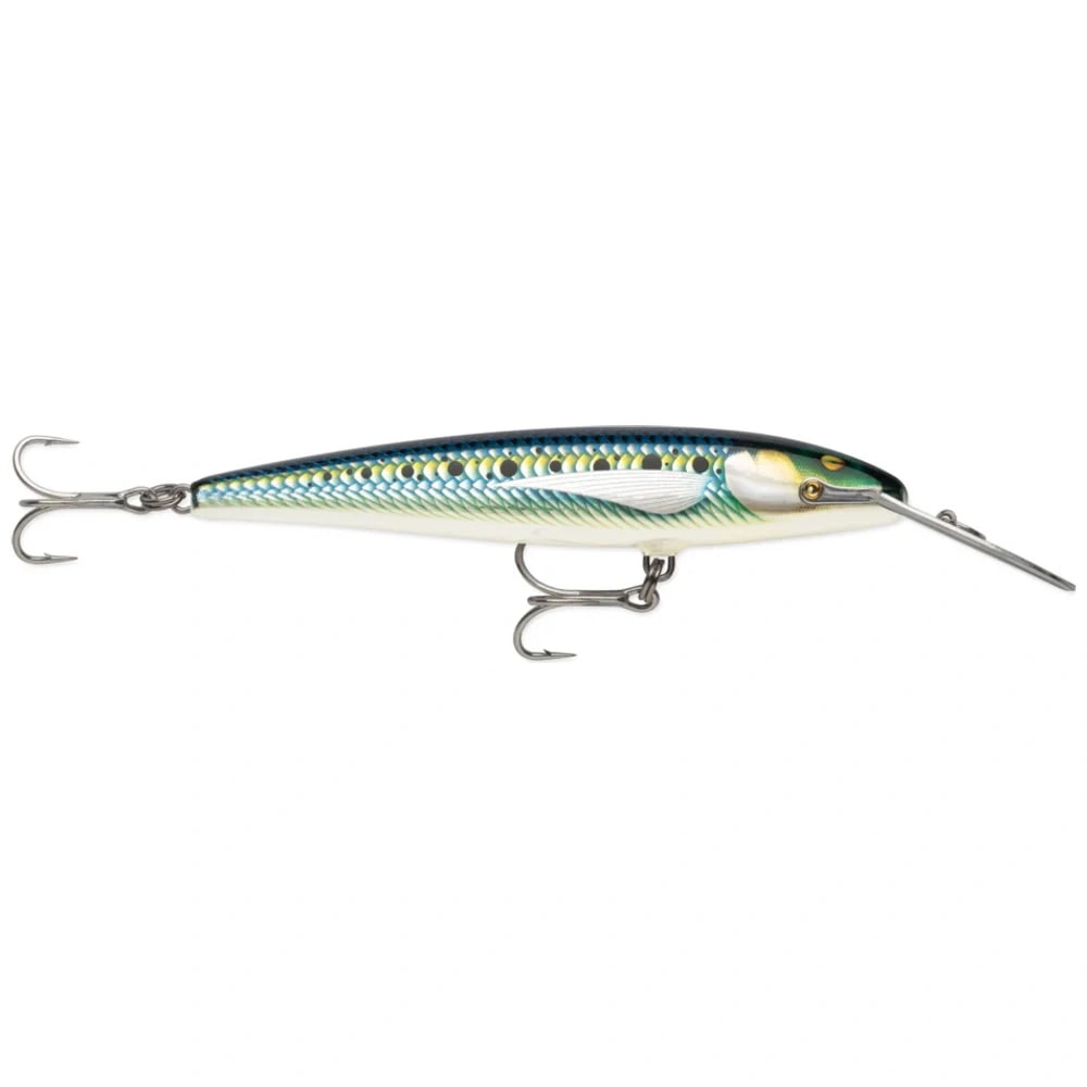 Armored Sardine