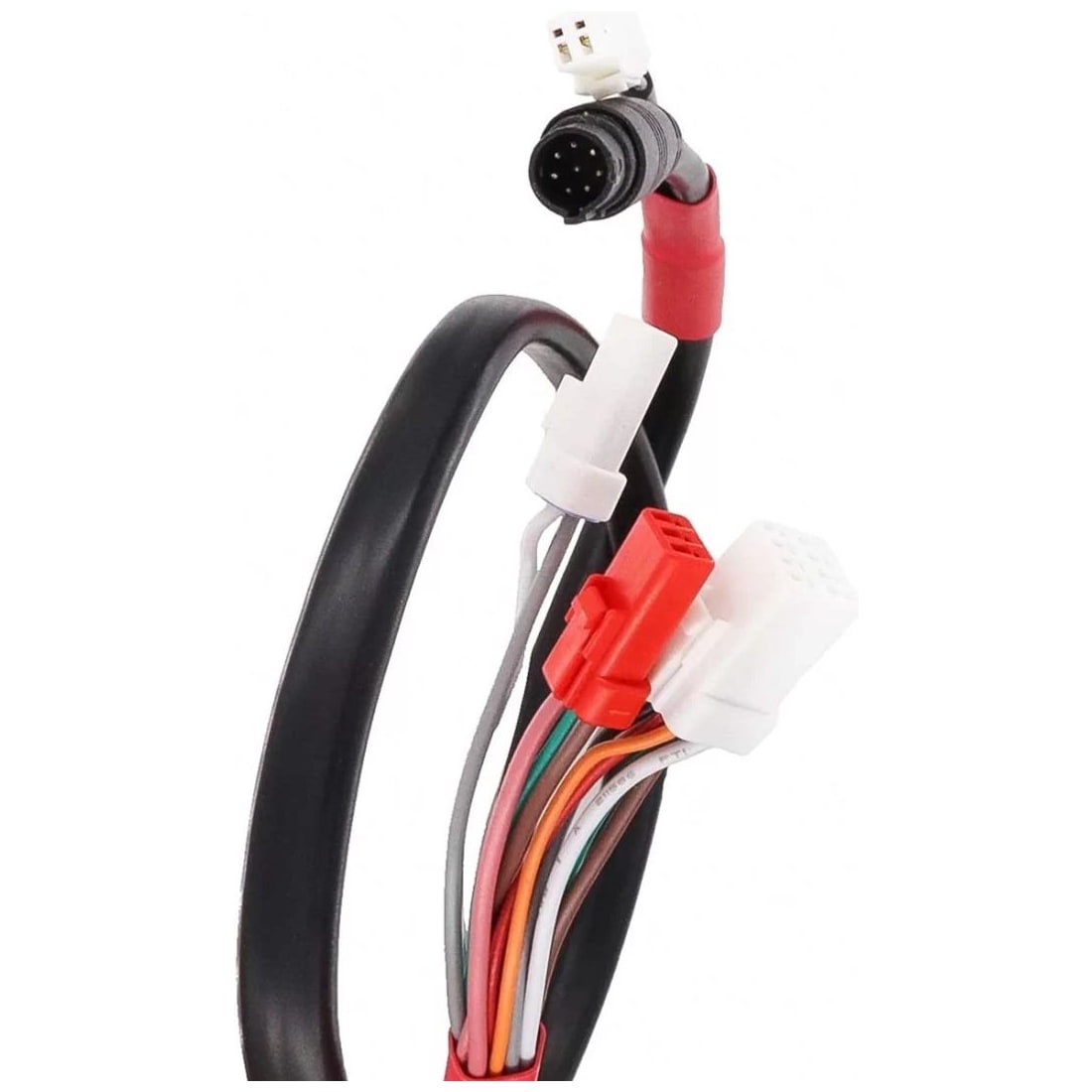 Cable Giant G-System Display a Motor con Luz