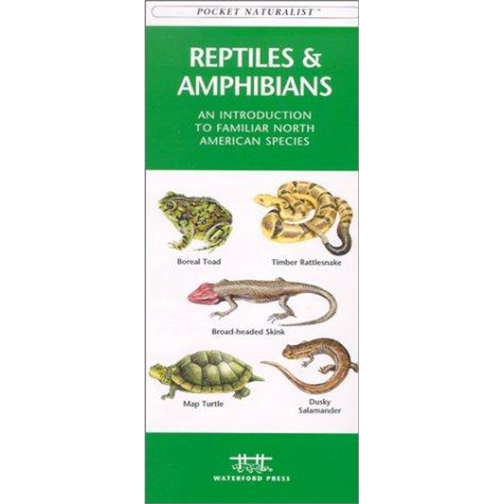 Guía Reptiles & Amphibians: an Introduction to Familiar North American Species