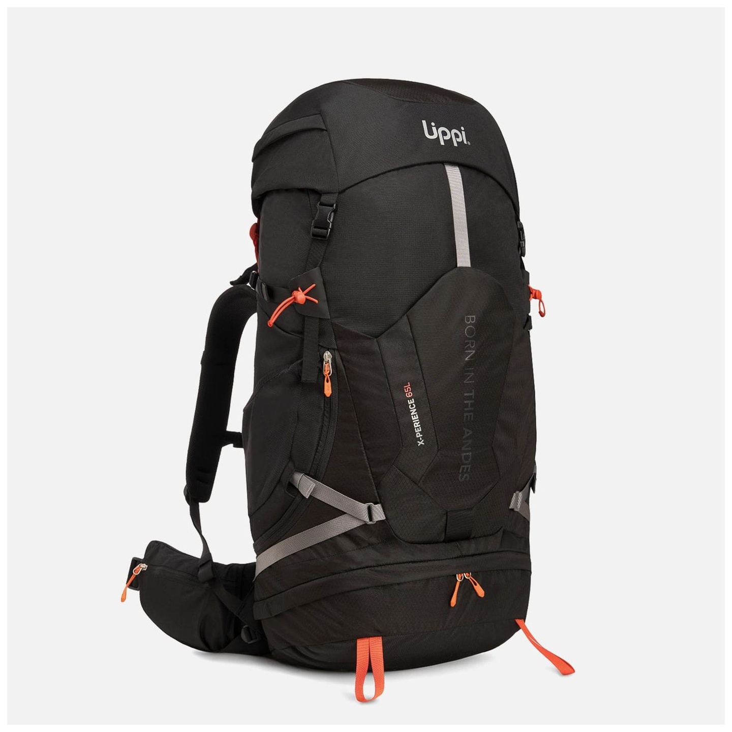 Mochila X-perience 65L Backpack V26