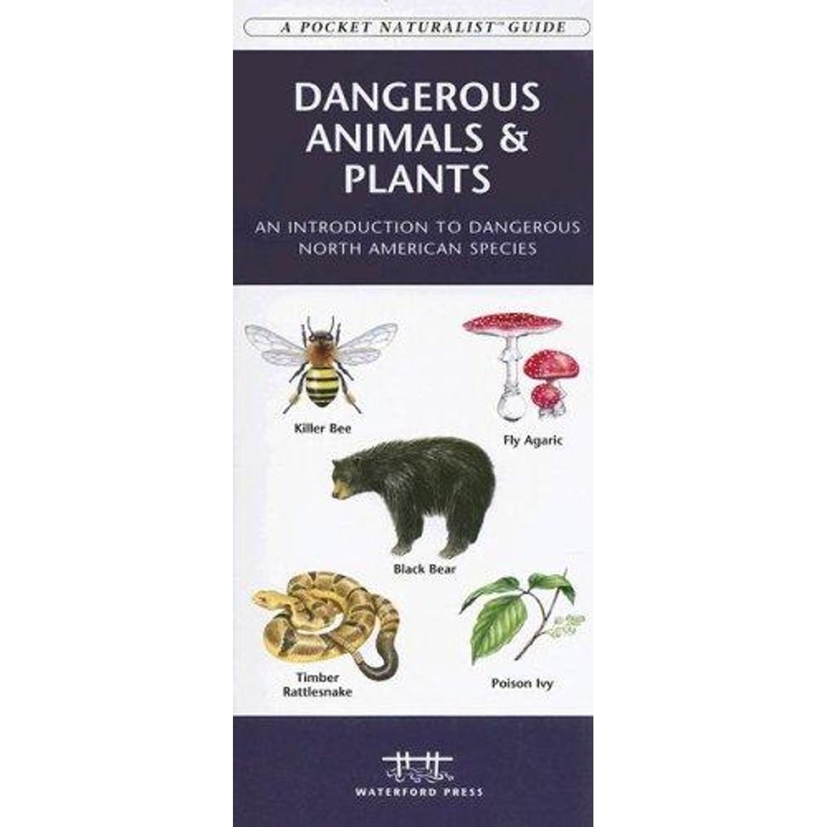 Guía Dangerous Animals and Plants