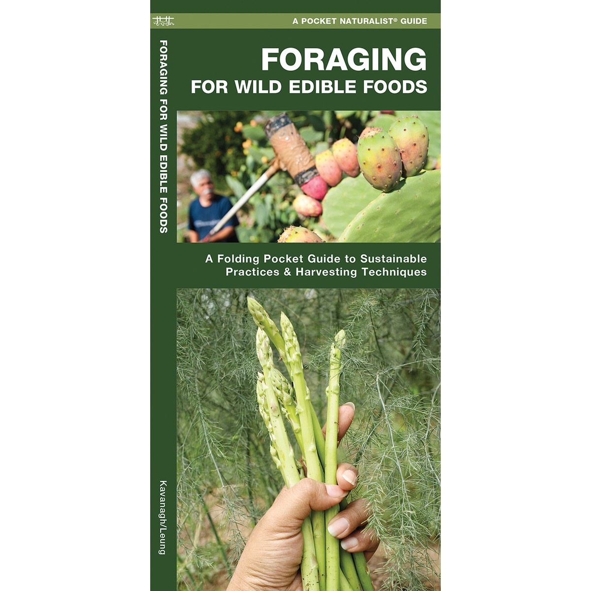 Guía Foraging for Wild Edible Foods