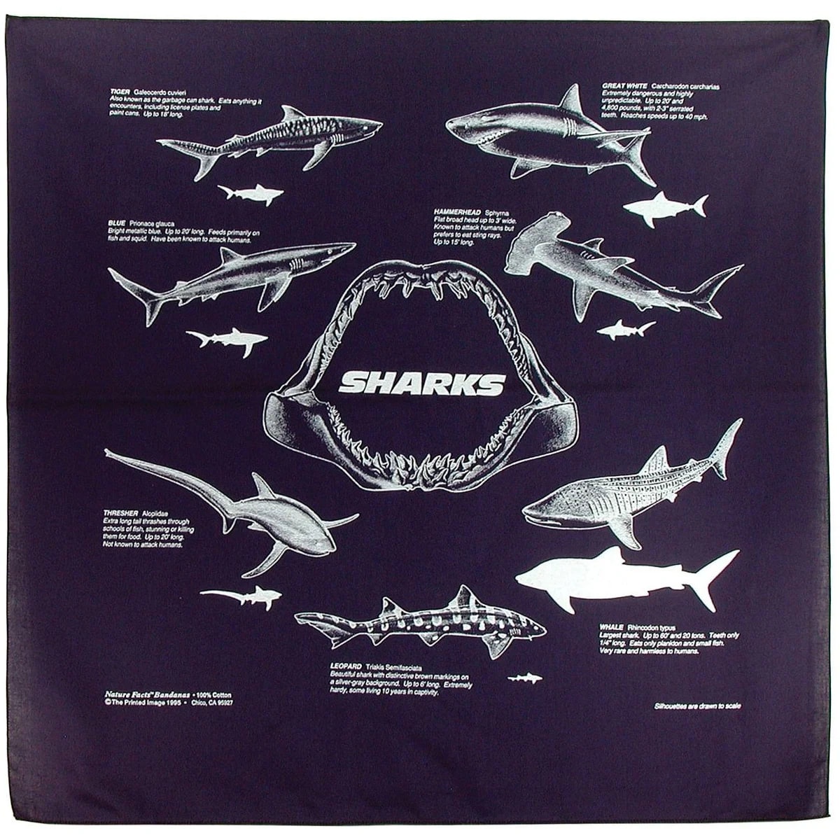 Tiburones