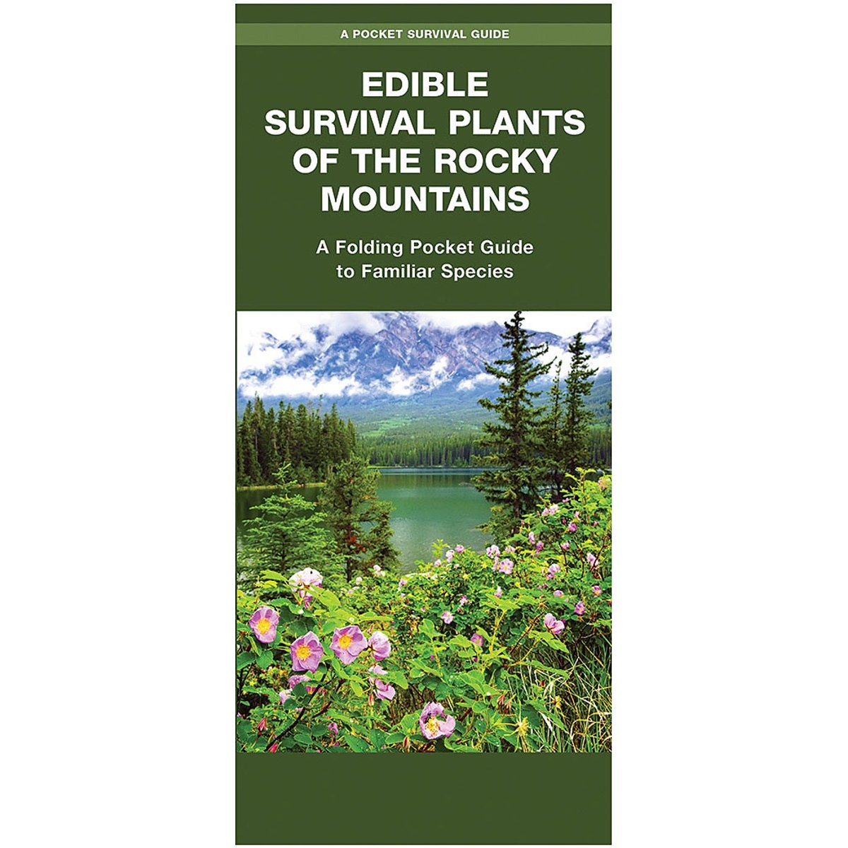 Guía Edible Survival Plants of the Rocky Mountains