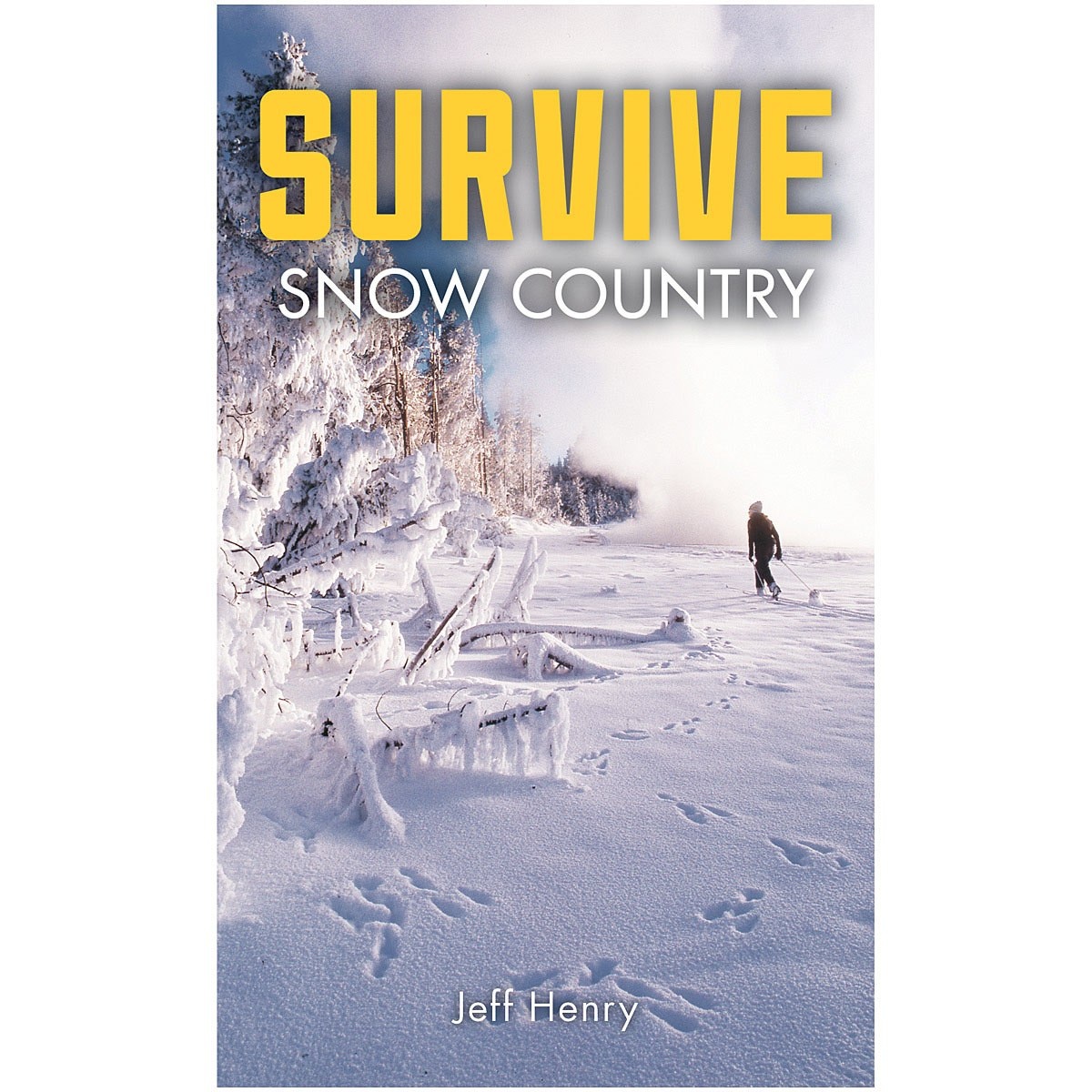 Libro Survive: Snow Country