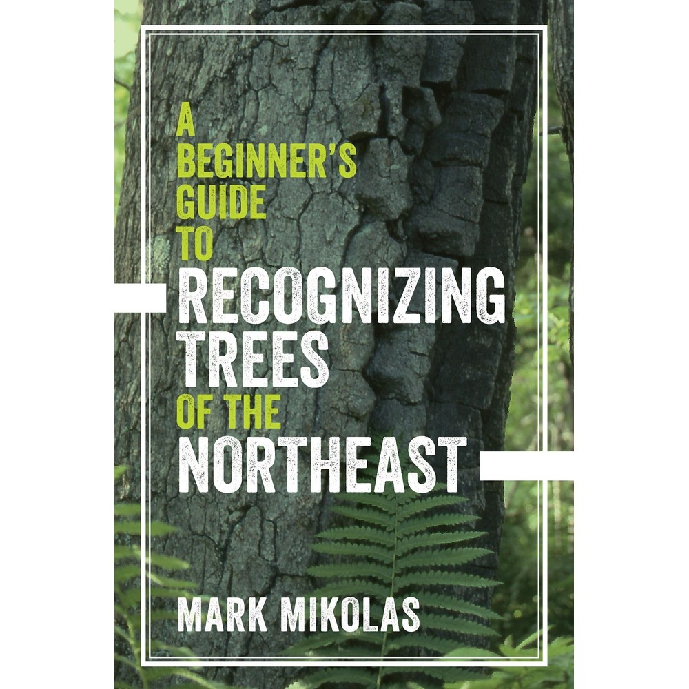 Libro Recognizing Trees of the Northeast