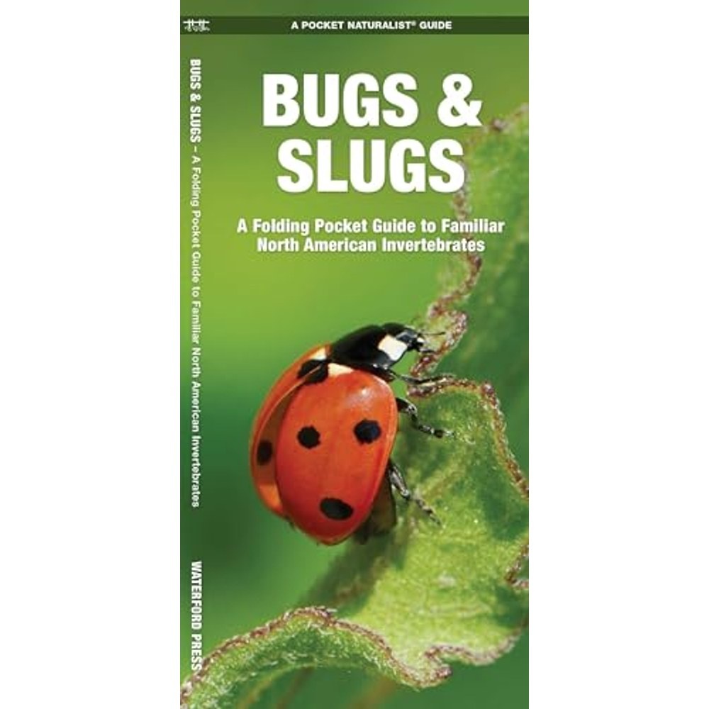 Guía Bugs and Slugs