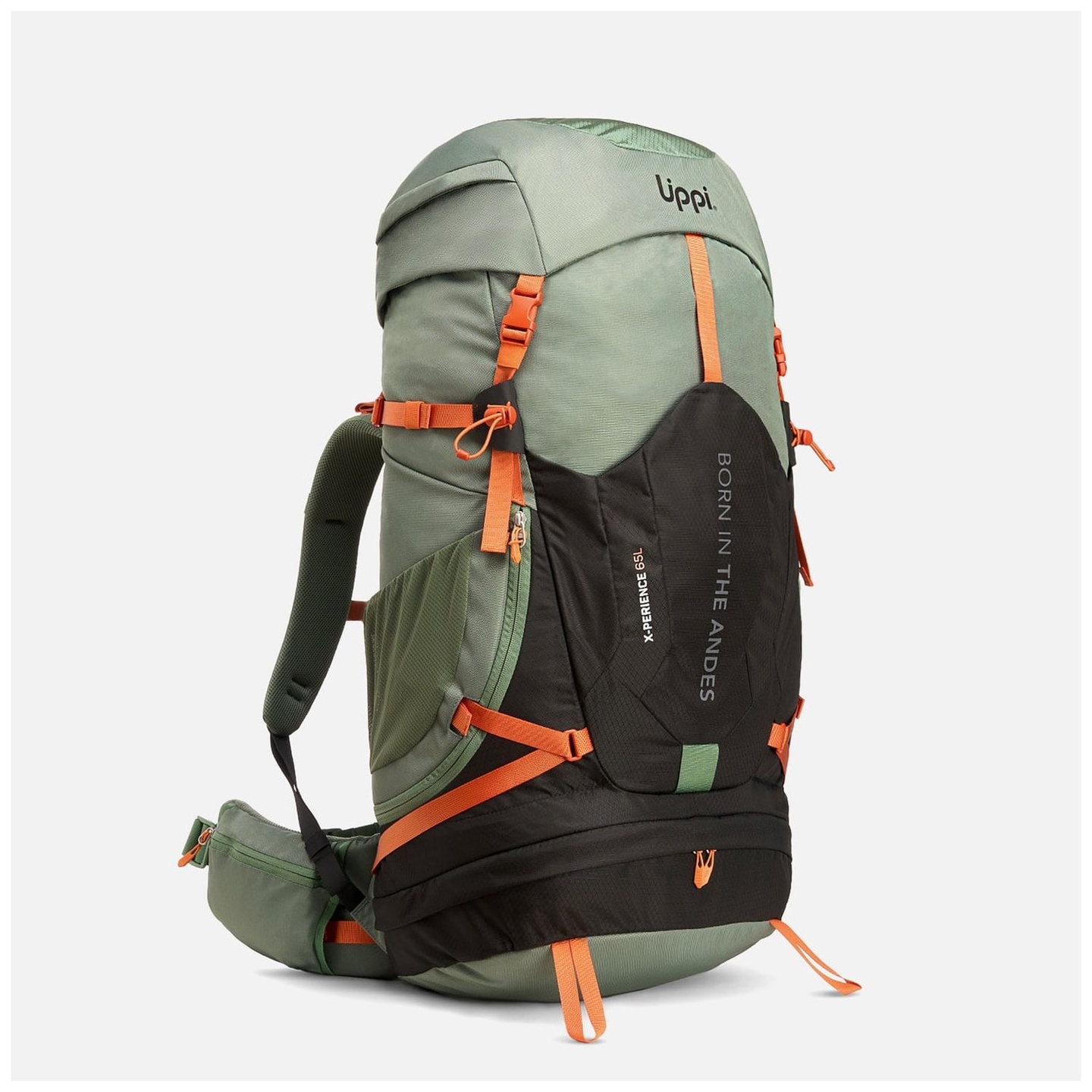 Mochila X-perience 65L Backpack V25