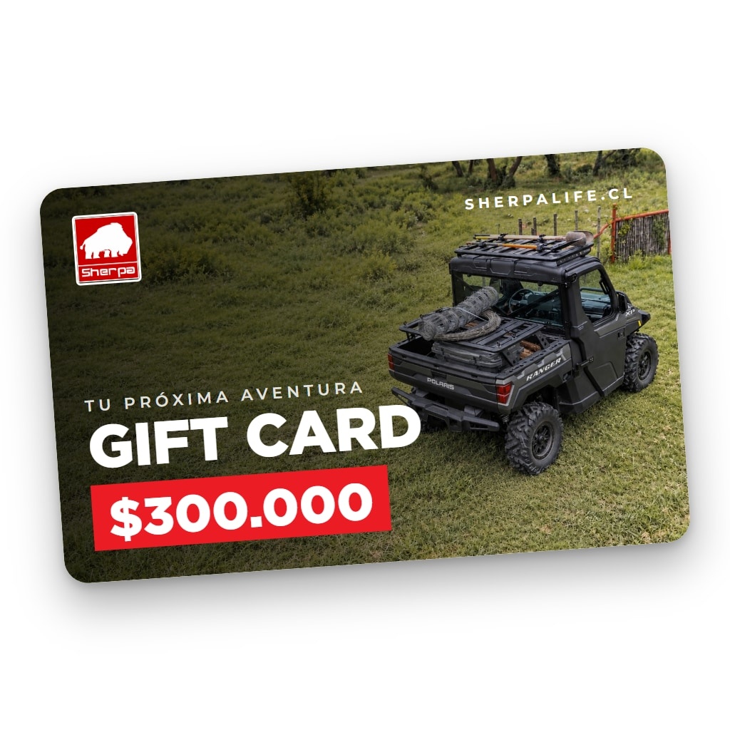 Gift Card $300.000