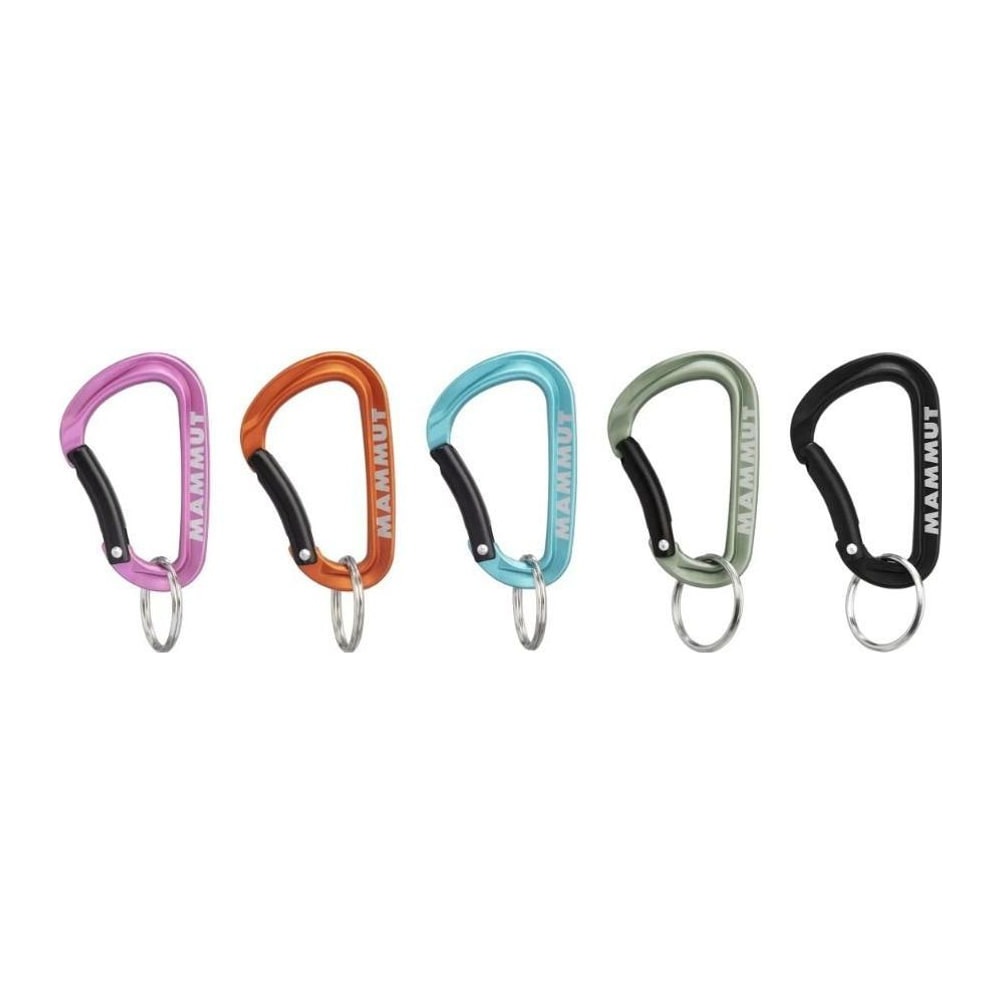 Llavero Mosquetón Mini Carabiner Classic Keylock S