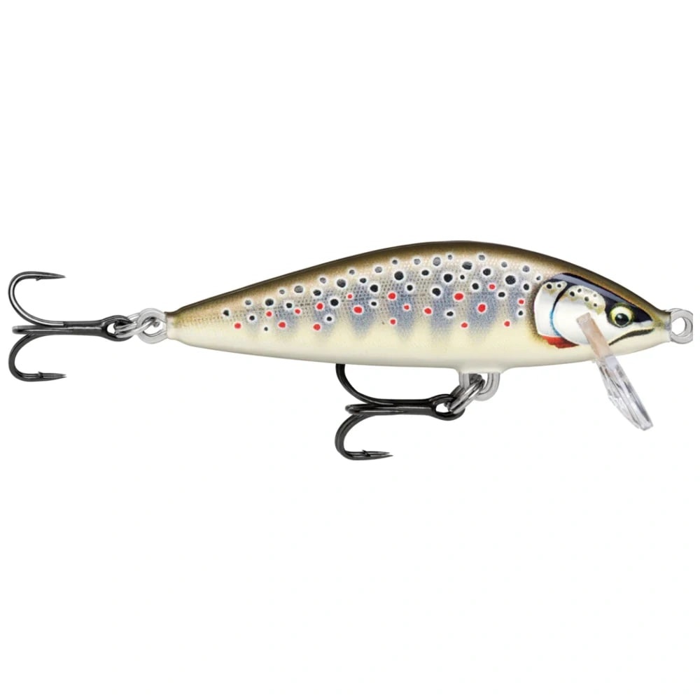 Gilded Brown Trout