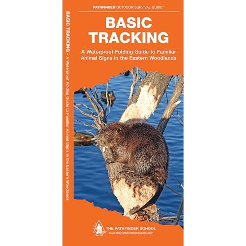 Guía Basic Tracking