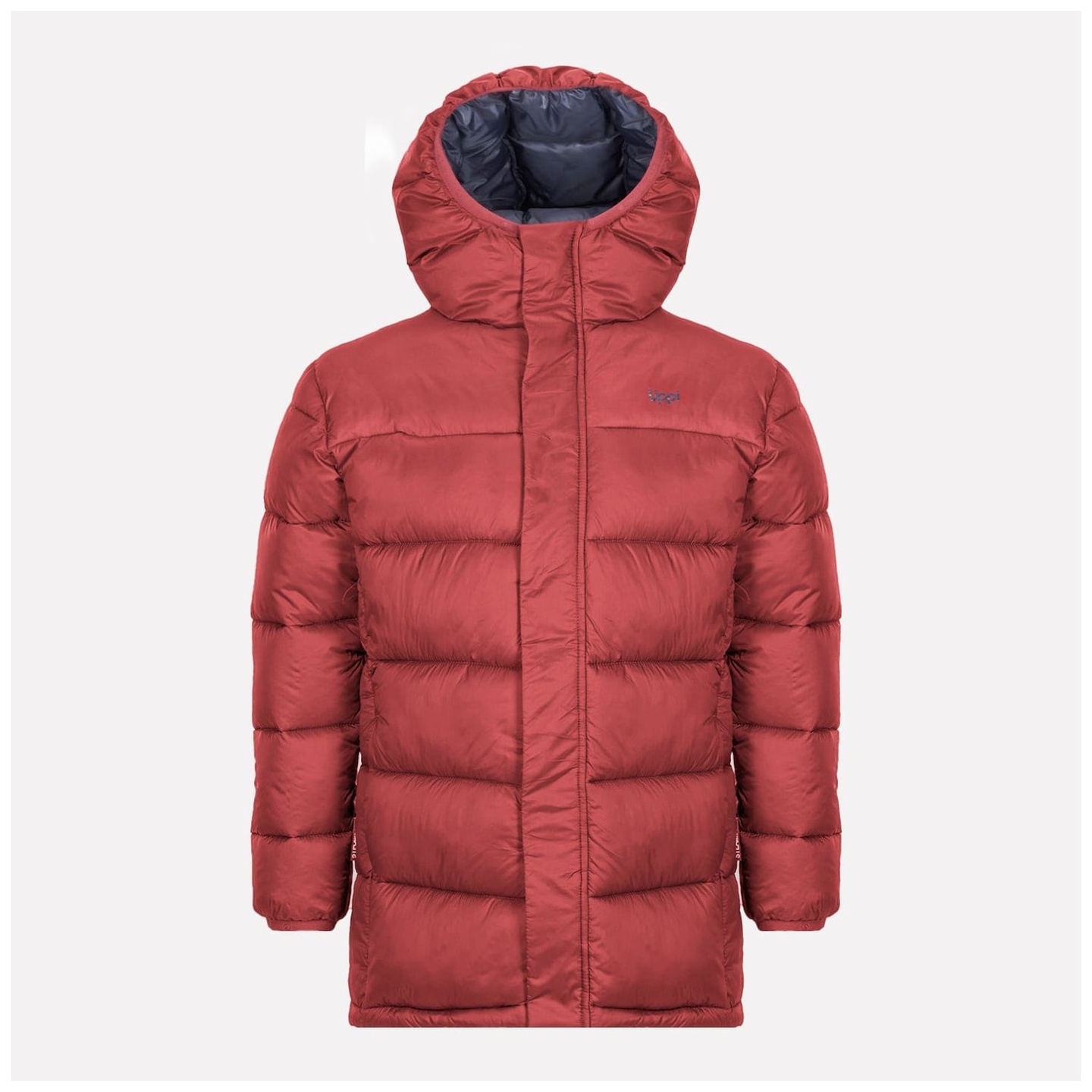 Chaqueta Niño All Winter Steam-Pro Hoody Jacket