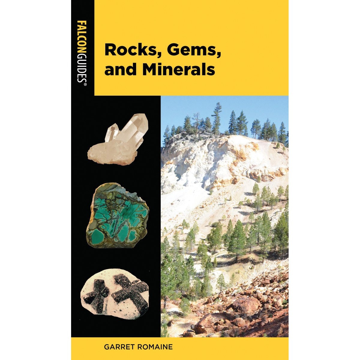 Libro Rocks, Gems, and Minerals