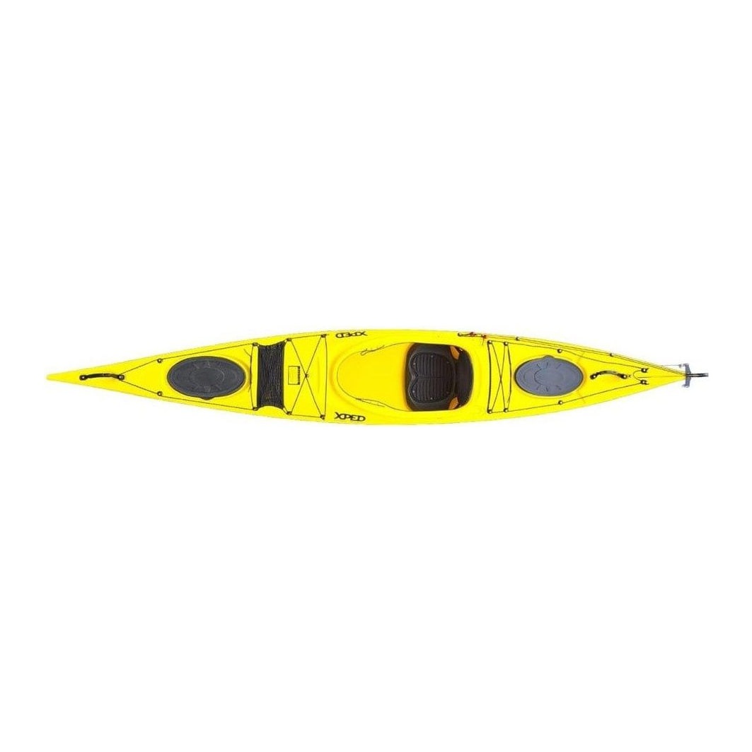 Kayak Dolphin