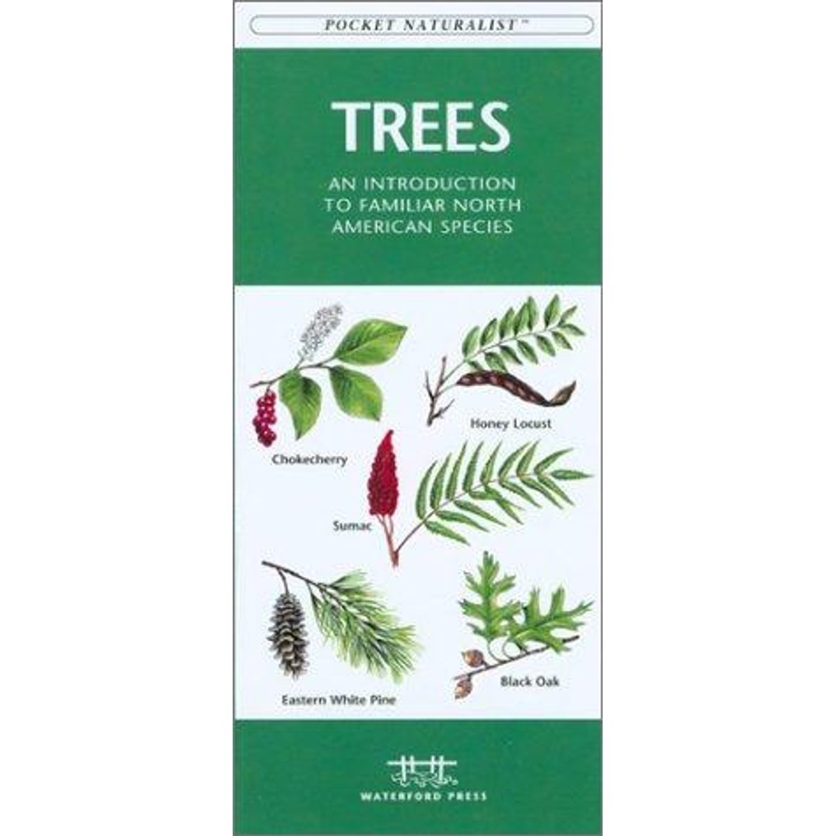 Guía Trees