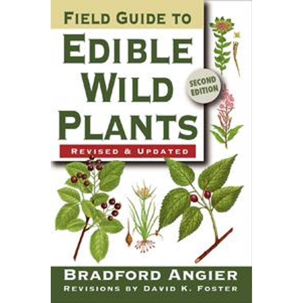 Libro Field Guide to Edible Wild Plants