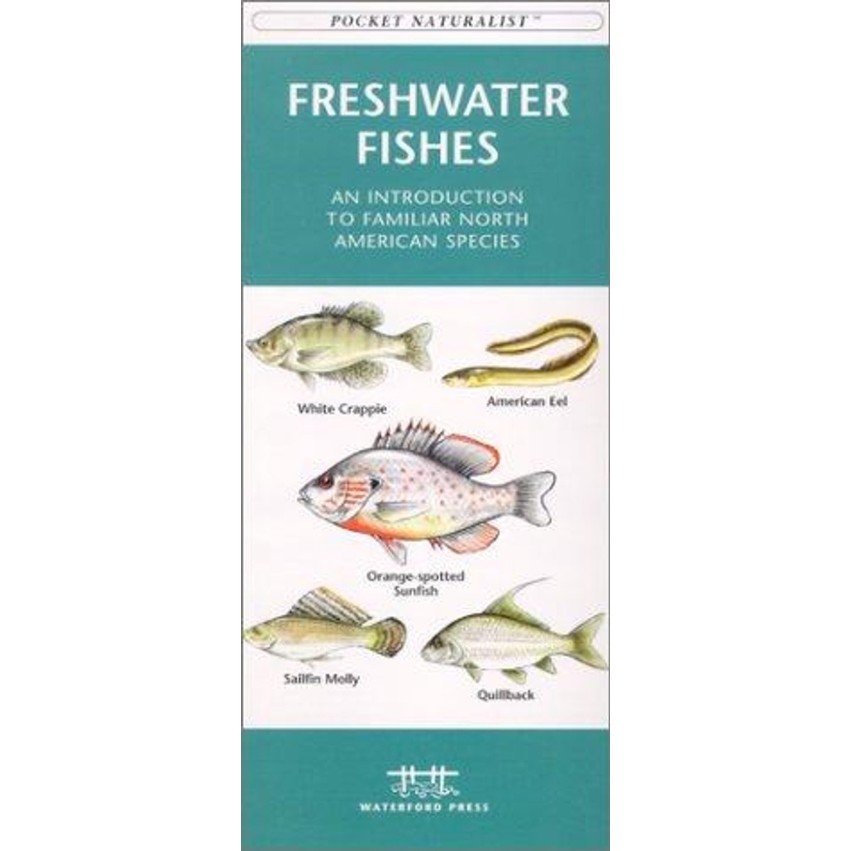 Guía Freshwater Fishes