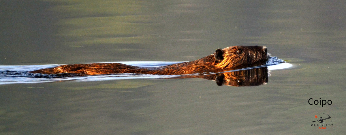 image_slider