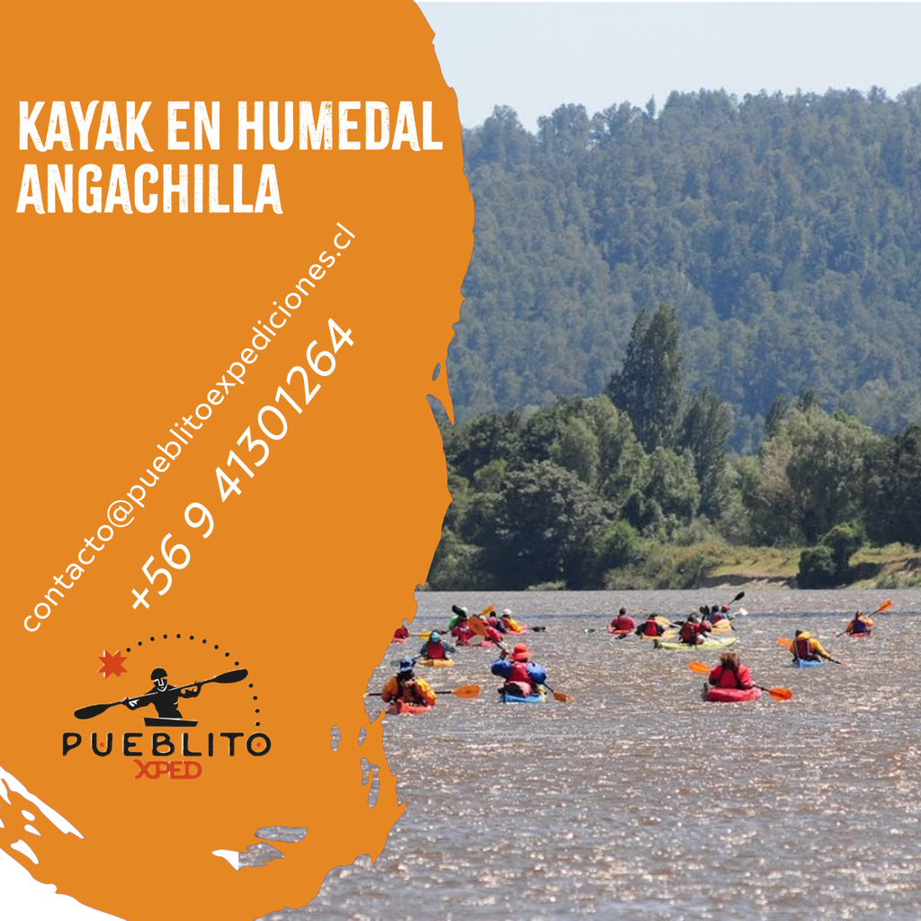 Travesía en kayak Humedal Angachilla