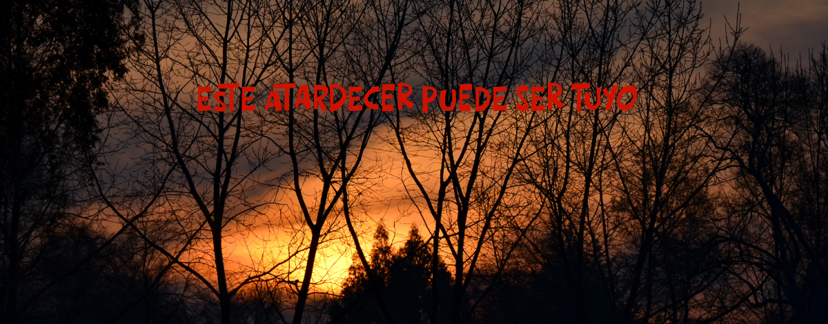 image_slider