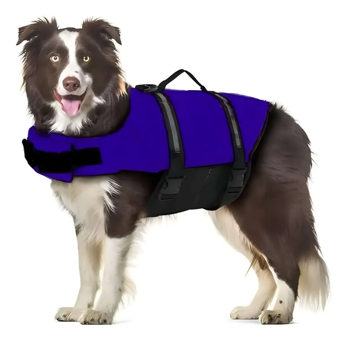 Chaleco Salvavidas Perro - Dog Life Jacket,
